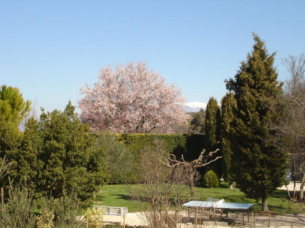 Domaine De La Grange Neuve Hotel La Roque-sur-Pernes Luaran gambar
